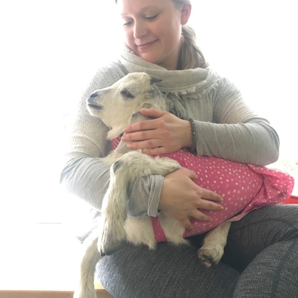 Meet your Posher, Erica - Picture 4 of 7